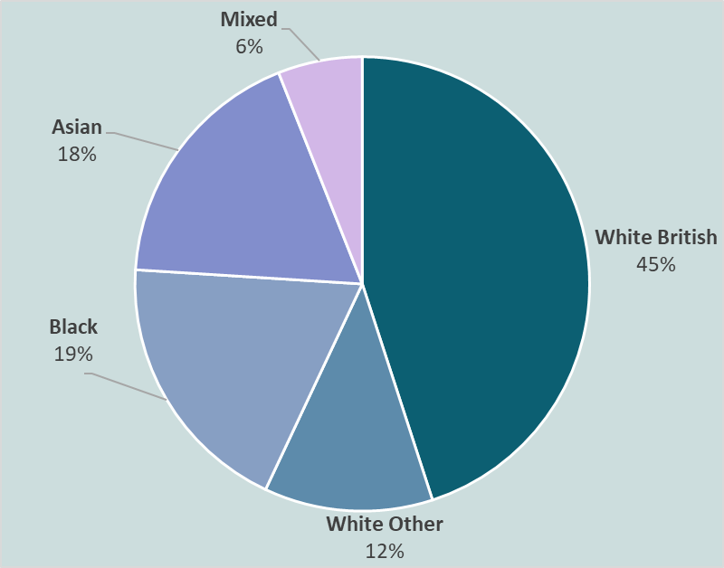 TIDES Phase 1 chart ethnicity