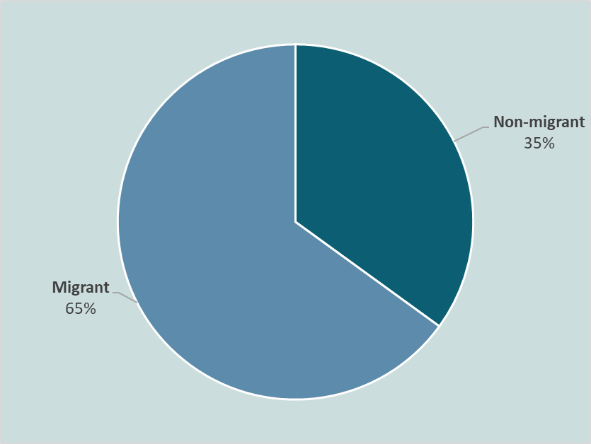 TIDES Phase 1 chart migrant